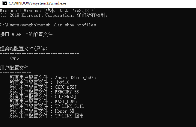 cmd命令查出的WiFi列表